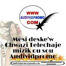 AudiVid Promo